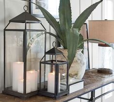 three lit candles sit on a shelf next to a potted plant and a candle holder