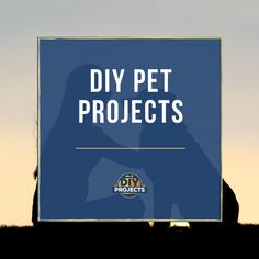 a blue sign with the words diy pet projects in front of it and a silhouette of a dog