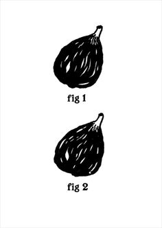 two figs are shown in black and white, one has the word fig on it