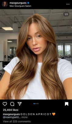 Hair Color Caramel, Brunette Hair With Highlights, Ginger Hair Color, Brown Hair Balayage