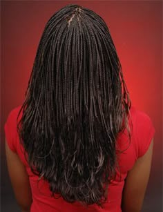 Pony Braids, Micro Pony, Braids Hairstyles Ideas, Micro Braids Styles, Micro Braids Hairstyles, Braids Styles, Micro Braids, Protective Hairstyles Braids, Pretty Braided Hairstyles