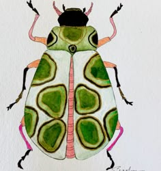 a drawing of a green and pink bug