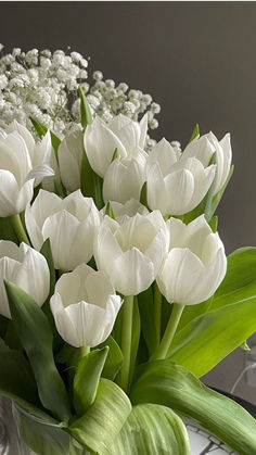 a vase filled with white flowers on top of a table