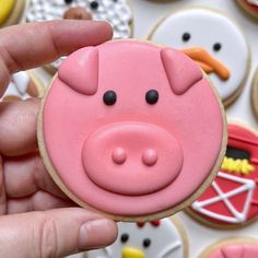 a hand is holding a cookie decorated like a pig and other cookies are in the background