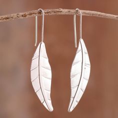 Frosted in sterling silver, chard leaves fall gracefully in the feminine design of these drop earrings. By the Kocchiu Brothers of Peru, this accessory is crafted with artistic elegance, featuring a matte finish on the leaves and a hammered, polished finish on their stems. Lost Wax Jewelry, Peridot Pendant, Leaves Fall, Sterling Silver Drop Earrings, Chard, Sterling Silver Necklace Pendants, Silver Drop Earrings, Jewelry Packaging, Sterling Silver Studs