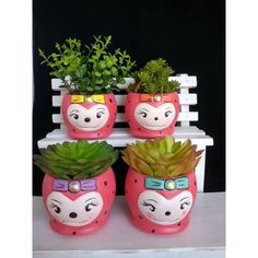 three potted plants with faces painted on them