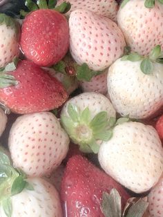 a close up of strawberries in a bowl