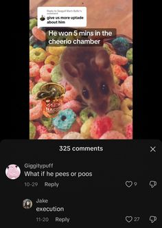 a mouse sitting on top of a pile of doughnuts with the caption'he won't 5 mins in the cheeto chamber