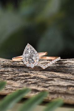 two engagement rings on top of a piece of wood with greenery in the background