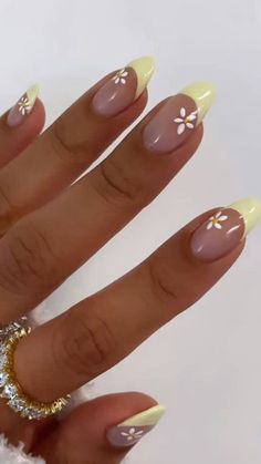 Classy nails art and colours by @WomenNailsdesigns #youtube #youtubeshorts #ytshorts Summer Nails Summer, Summer Nails 2023, 2023 Nails, Nails Summer Nails, Colorful Nails, Basic Nails, Nails 2023