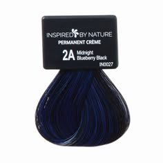 Blueberry Black Hair, Blueberry Hair Color, Bluish Black Hair, Midnight Dark Blue Hair, Jet Blue Black Hair, Midnight Blue Hair Color, Violet Black Hair, Blue Black Hair Dye, Evie Grimhilde