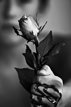 The Amity Affliction, Beautiful Disaster, Foto Art, Emo Scene, Dark Photography, Black White Photos, Dark Beauty, Black N White, A Rose