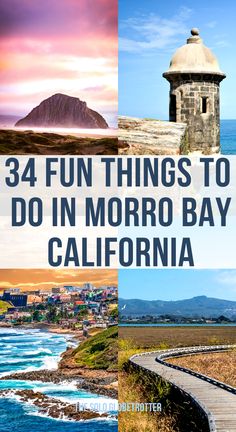 There are many incredible things to do in Morro Bay, making it one of the top attractions in California for hikers, anglers, Surfers, art and museum lovers, birdwatching enthusiasts and people looking to unwind on one of the secluded beaches away from the hustle and bustle of the town. If you are planning a weekend trip from San Franciso or looking for an exclusive what to do in Morro Bay, read on to know about each Morro Bay attraction. Morrow Bay California, Morro Bay California Things To Do, Morro Bay California, California Attractions, Camping Usa, Avila Beach, Long Weekend Getaways, Usa Trip