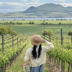 a woman in a straw hat is walking through the vineyard