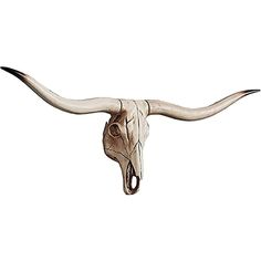 an animal's skull with long horns is shown on a white background in this drawing