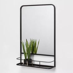 a mirror that is on the wall with some plants in front of it and a planter next to it