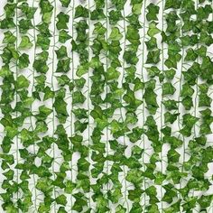 green ivy growing on the side of a white wall in front of a window with no curtains