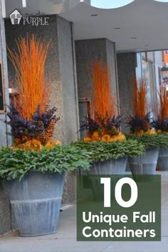 large planters with orange flowers in them on the side of a building that says 10 unique fall containers