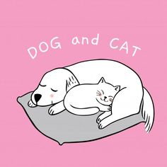 a dog and cat are sleeping together on a pillow with the words dog and cat above them