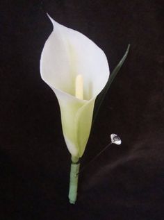 a single white calla lily with a diamond ring on it's end, against a black background