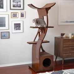 a cat sitting on top of a wooden stand