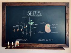 a blackboard with some plants and seeds on it