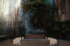 candles are placed in the middle of an outdoor area with trees and vines on either side