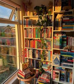 a bookshelf filled with lots of books next to a window and a potted plant