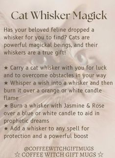 Spells With Cat Whiskers, Cat Claws In Witchcraft, Cat Whiskers Witchcraft, Cat Spells, Cat Witchcraft, Feline Energy, Spell Components, Witchcraft Meaning, Mountain Witch