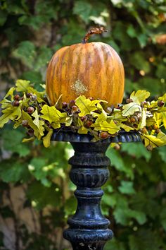 a pumpkin sitting on top of a black pole in the middle of some leaves and flowers