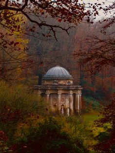 an old building in the middle of a forest with lots of trees and leaves around it