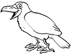 a black and white drawing of a bird with a large beak on it's feet