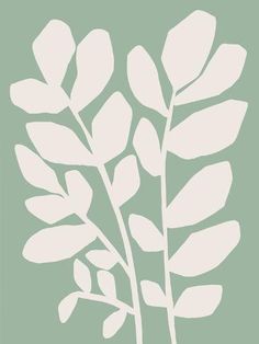 a white plant on a green background