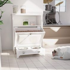 a white dog laying on the floor next to a shelf