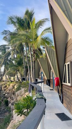 the walkway leading to the beach is lined with palm trees