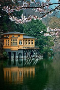 a yellow house sitting on top of a lake next to a lush green tree filled forest