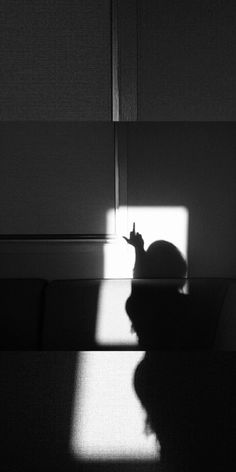 a black and white photo of a cat in the shadows