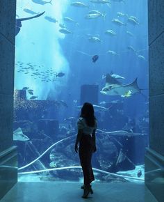 a woman standing in front of an aquarium looking at fish