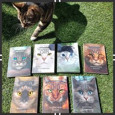 a cat standing next to seven books on the grass