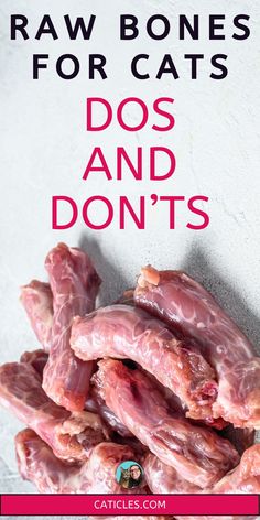 raw bones for cats do and don't's by catiels com