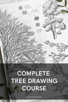 Complete Trees Drawing Course - Fundamentals + step-by-step videos of process + downloadable files How To Draw Trees, Drawing Fundamentals, Draw Trees, Trees Drawing, Beginner Drawing Lessons, Landscape Pencil Drawings, Composition Drawing, Drawing Scenery, Important Things To Know