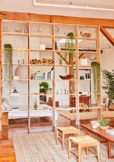 a living room filled with furniture and lots of greenery on the shelves in it