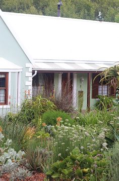 a white house surrounded by lots of plants and flowers