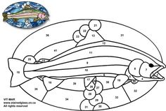 a fish with numbers on it is shown in the color by number coloring page for kids