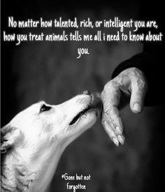 two hands touching each other over a dog's nose with the caption, no matter how talented, rich, or intelligent you are