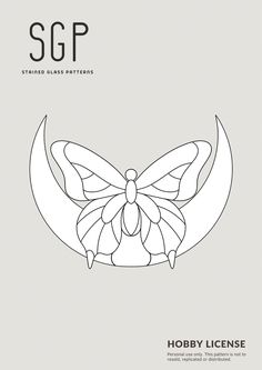 the front cover of a book with an image of a butterfly on it's wings