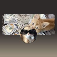 an orange cat wearing sunglasses and looking at the camera with money in front of him