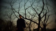 a man standing next to a tree with no leaves on it in the evening time