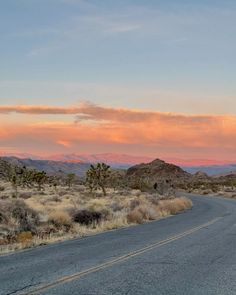 Joshua Tree Aesthetic, Friends Roadtrip, California Sunrise, State Parks Usa, Usa Aesthetic, Joshua Trees, Usa Nature, California Roadtrip, California Nature