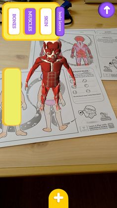 an image of the human body on a table with other items to read and draw